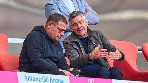 九游个人中心登录-穆西亚拉+比朔夫,拜仁版齐达内+帕文?